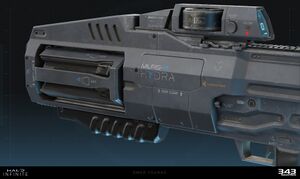 HINF-Hydra (Omer Younas).jpg