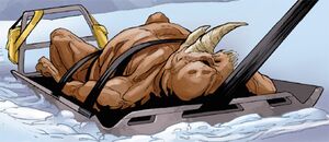 ESC17 faune minab.jpg