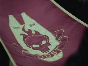 19th BN ODST flag.jpg