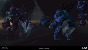 HINF-Hunter exploration 03 (Daniel Chavez).jpg