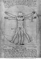 Parodie de L'Homme de Vitruve de Léonard de Vinci.