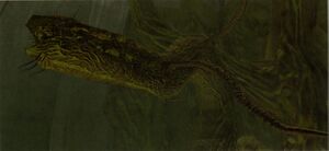 H2-Fossoyeur concept screen.jpg