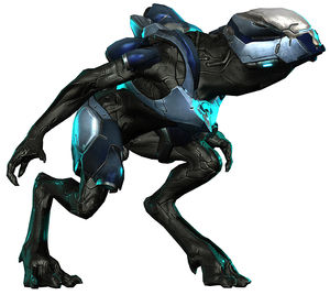 H4Jackalranger01.jpg