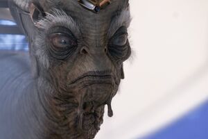 HTV Prophet of Mercy 01.jpg