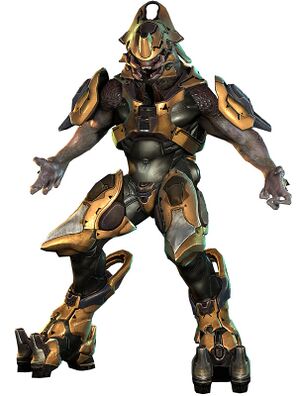 H4 Sangheili Warrior 01.jpg