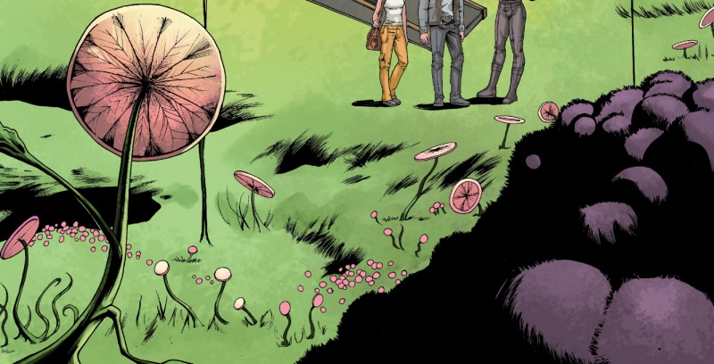 Fichier:ESC5 Karava flore.jpg