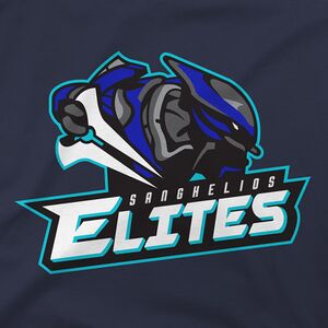 Jinx Elites Team Hoodie.jpg