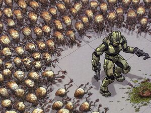 HGNGeoff Darrow.jpg
