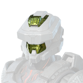 Injunction Adaptation